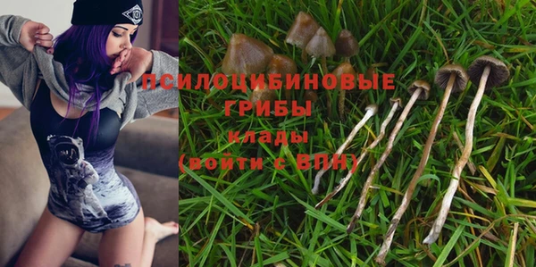 экстази Козельск