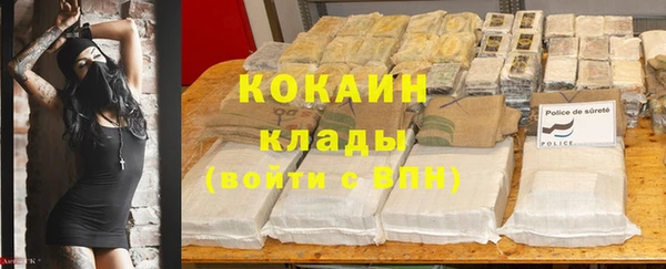 бошки Козловка