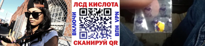 Купить закладки  Каргополь  Наркотические марки 1,5мг 